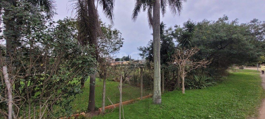 Terreno para Venda - 3.037m² no bairro Campo Novo — foto 18