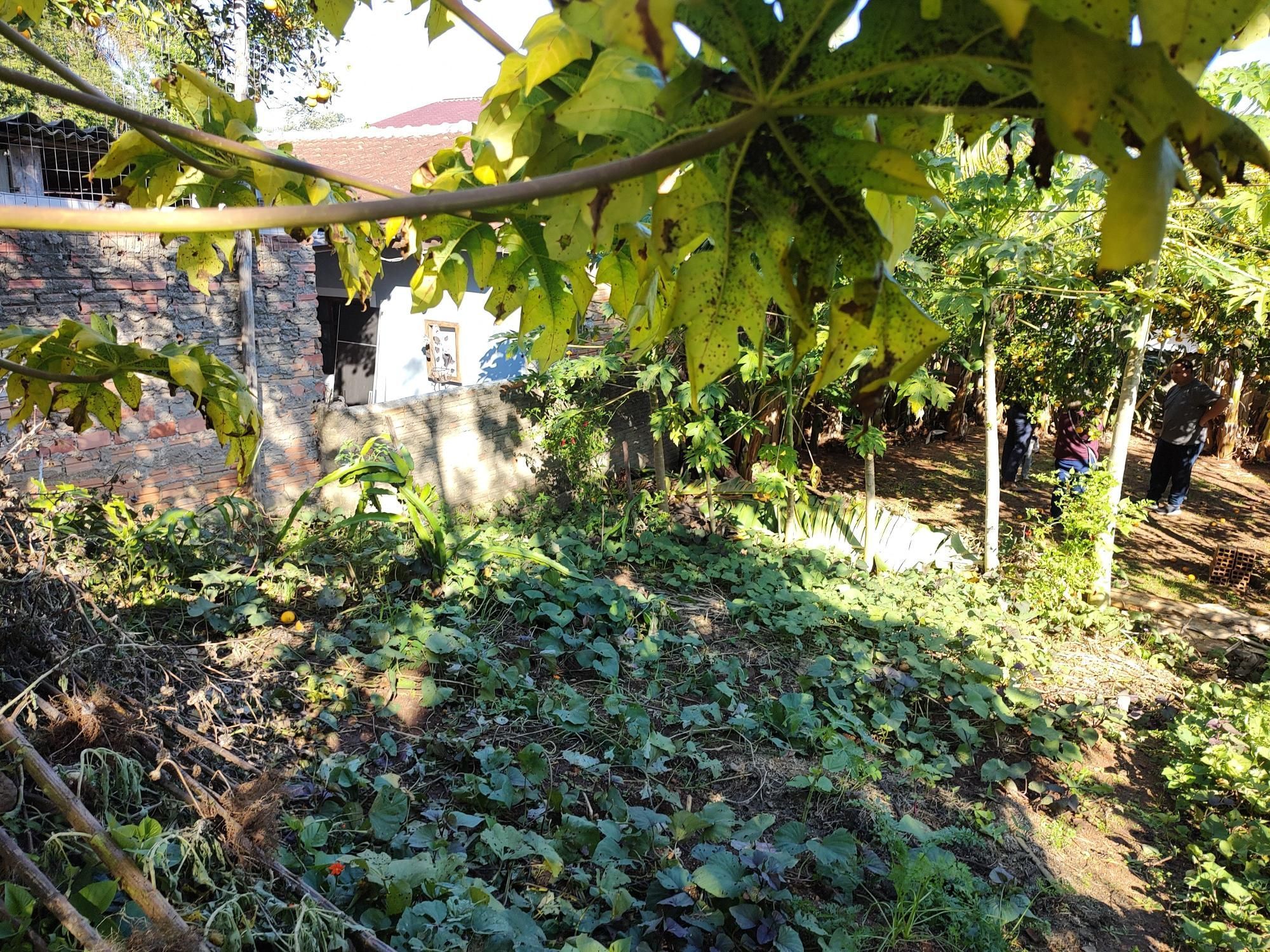 Casa térrea 90m² privativos, 2 quartos 1 vaga coberta - Espírito Santo — foto 10