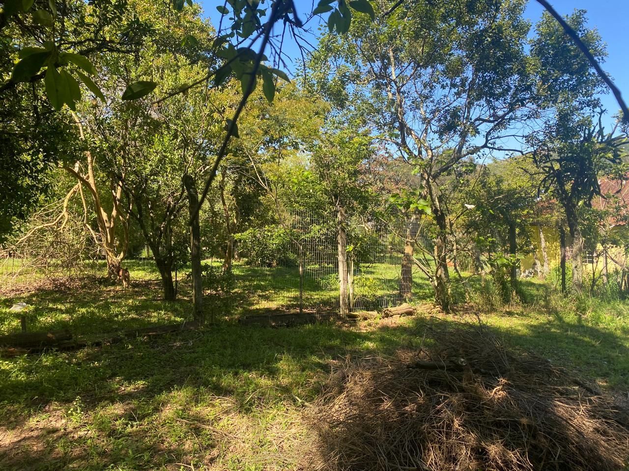 Excelente terreno! — foto 5