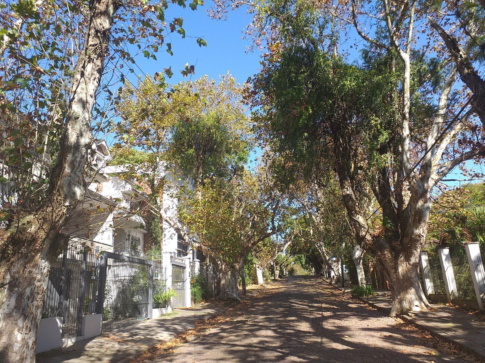 Casa com Vista Panorâmica para o Guaíba na Vila Conceição — foto 7