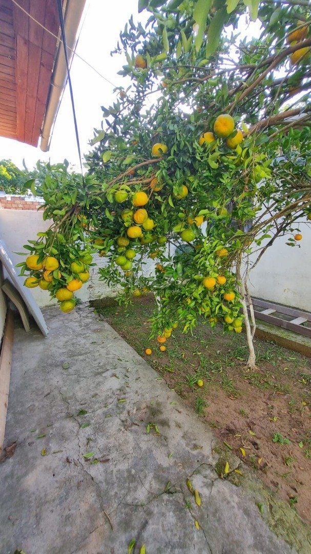 — foto 9