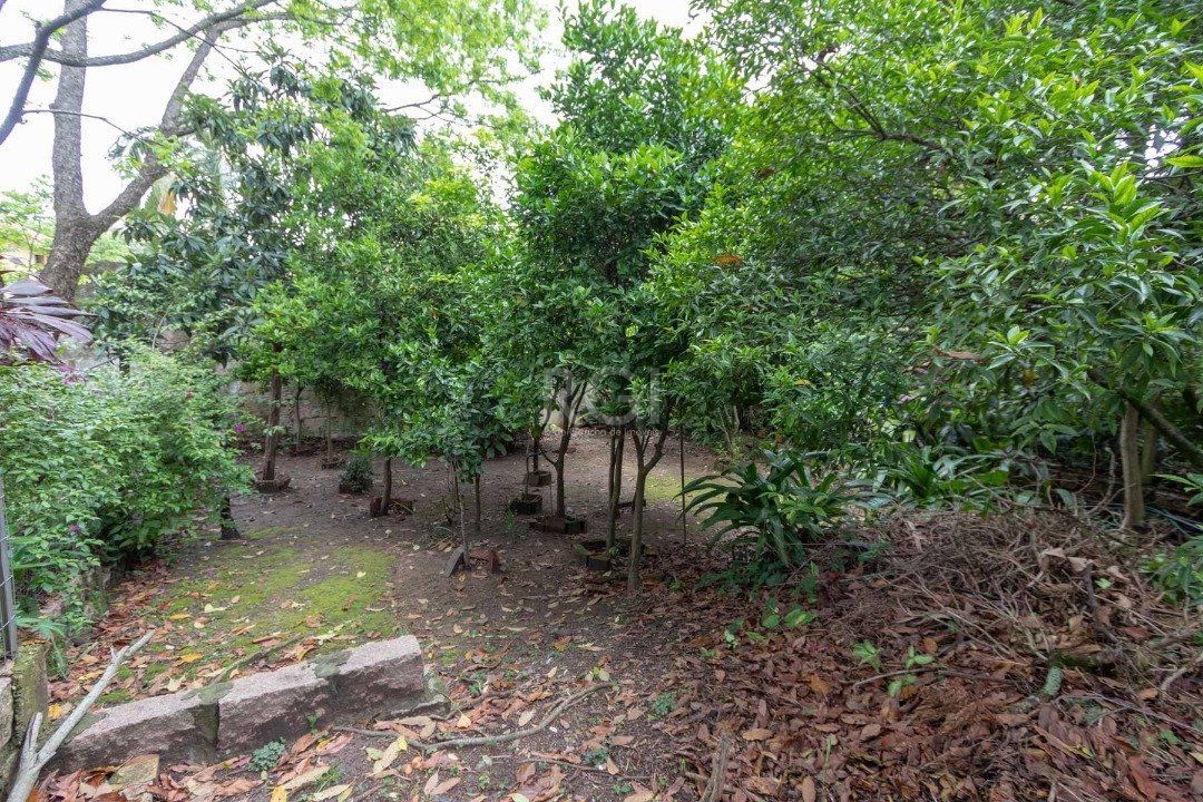 Casa para Venda - 200.81m², 4 dormitórios, sendo 1 suites, 5 vagas - Tristeza — foto 13