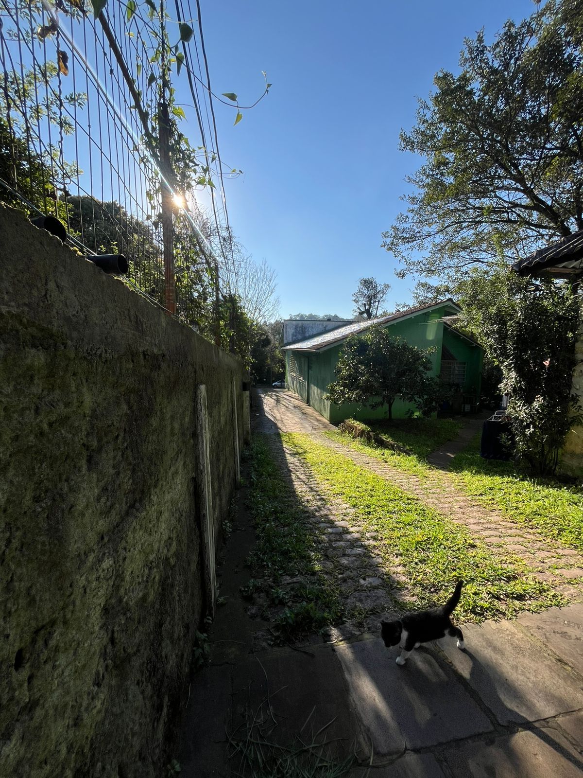 Terreno Amplo com 3 Casas – Vila Nova, Porto Alegre — foto 2