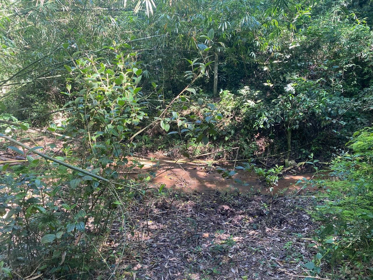 Excelente terreno! — foto 24