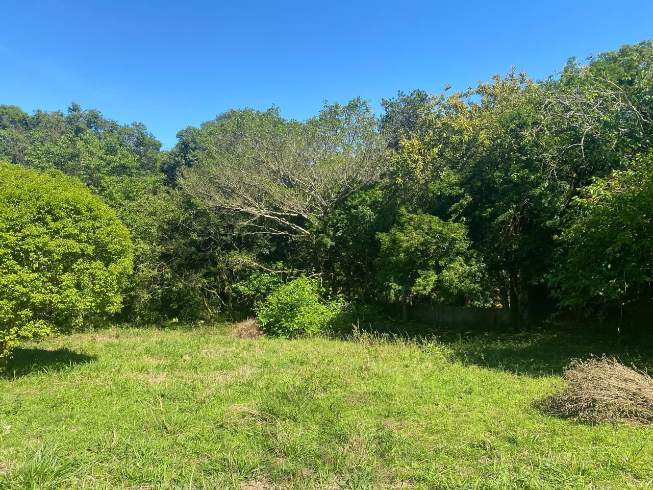 Excelente terreno! — foto 11