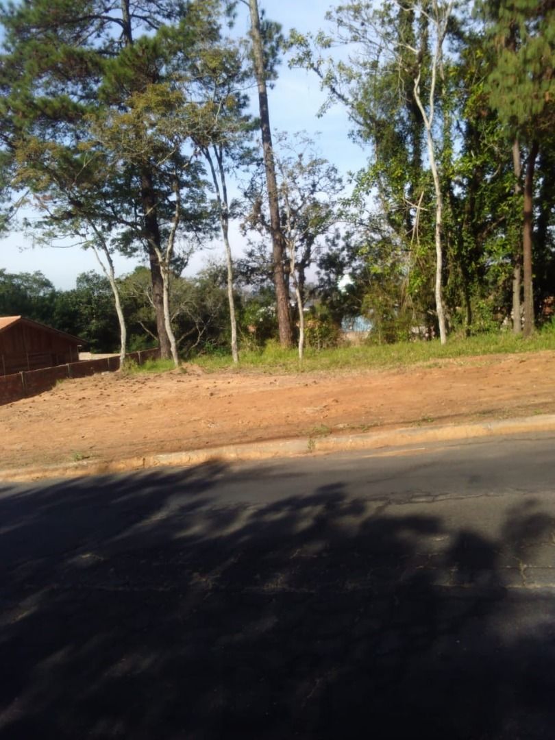 Terreno para Venda - 0m², 0 dormitórios, Belém Novo — foto 13