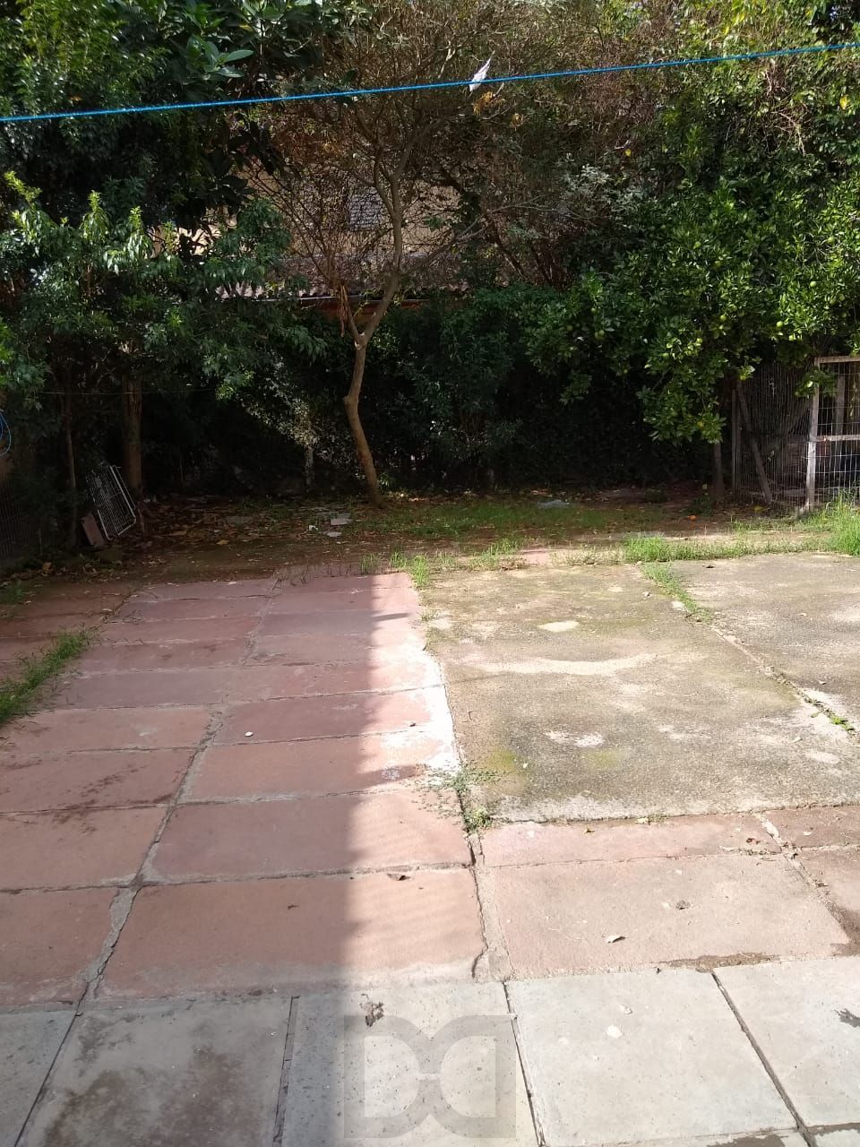 — foto 12