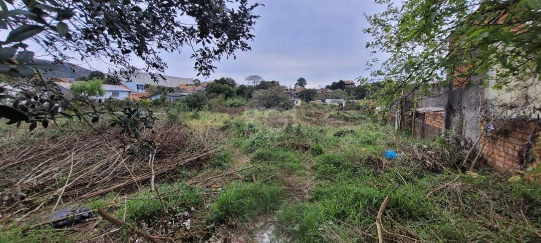 Terreno para Venda - 3.037m² no bairro Campo Novo — foto 8
