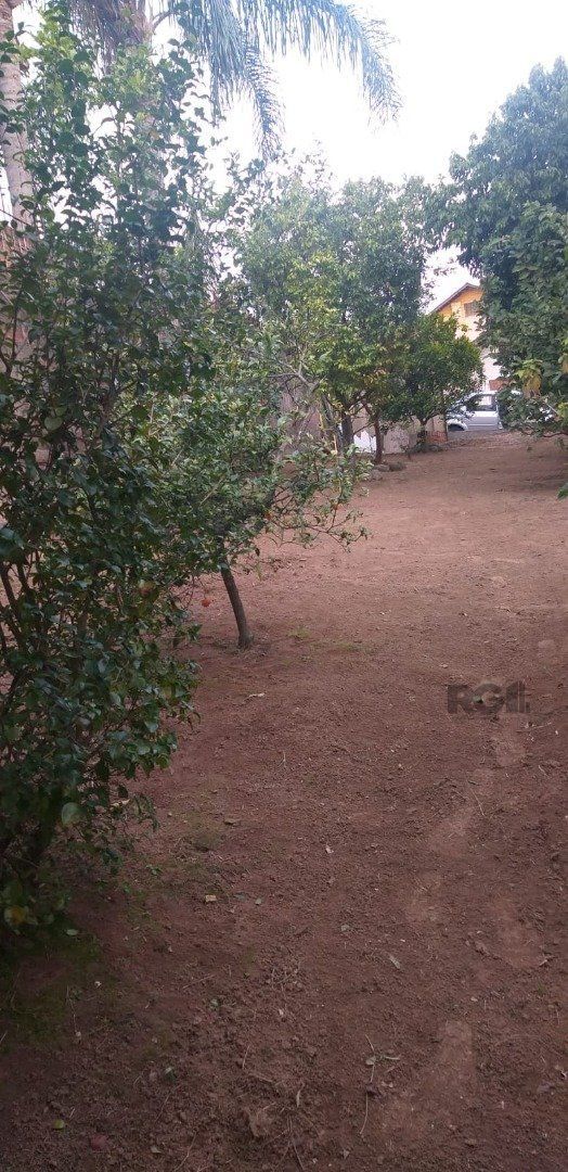 Terreno com 218m² na Lomba do Pinheiro em Porto Alegre. — foto 5