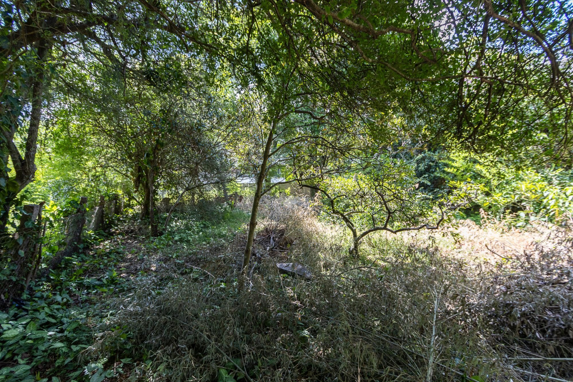 Terreno  bairro Ipanema — foto 14