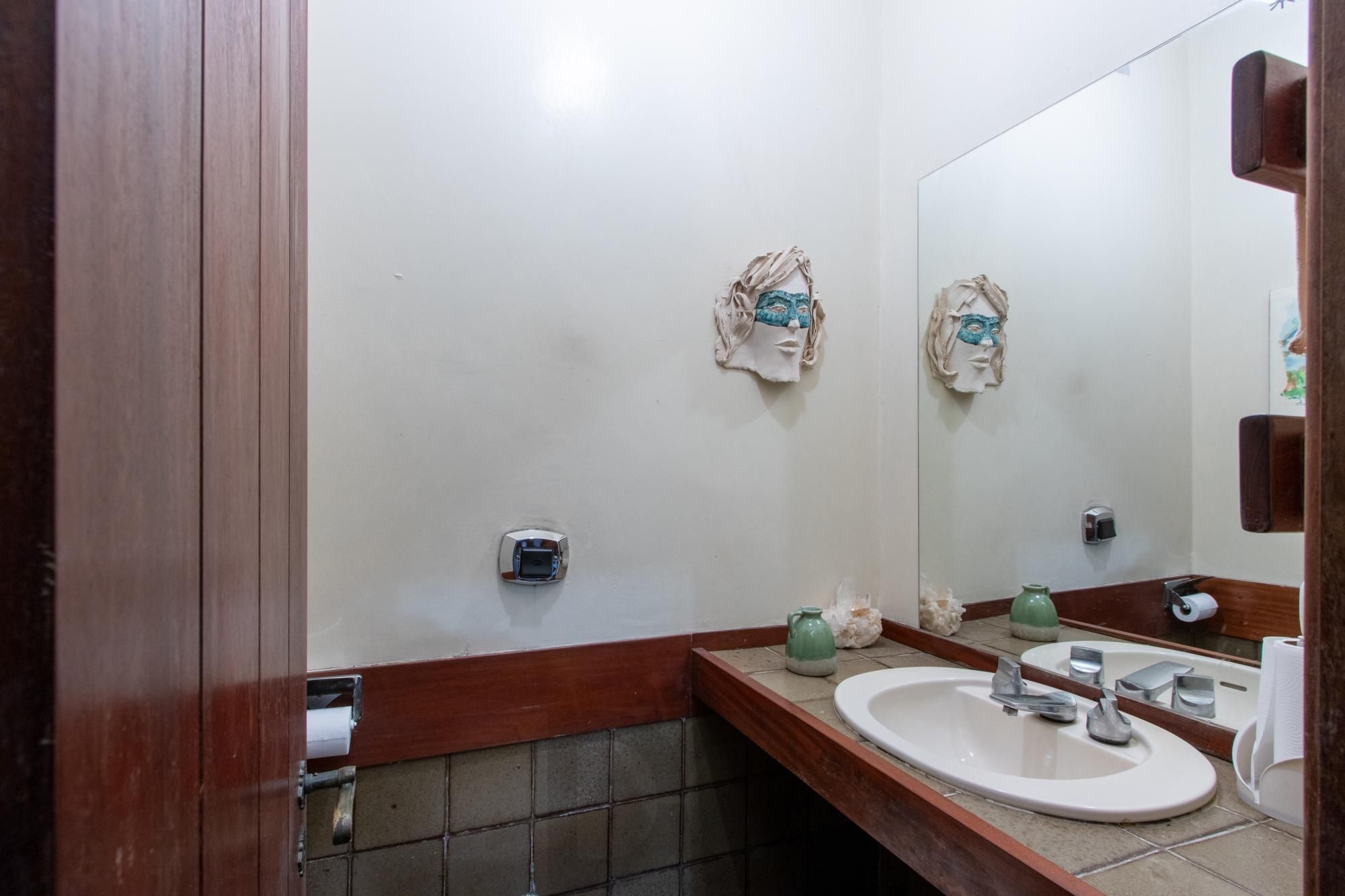 Casa com amplo terreno e grande área verde à venda no Jardim Isabel — foto 27