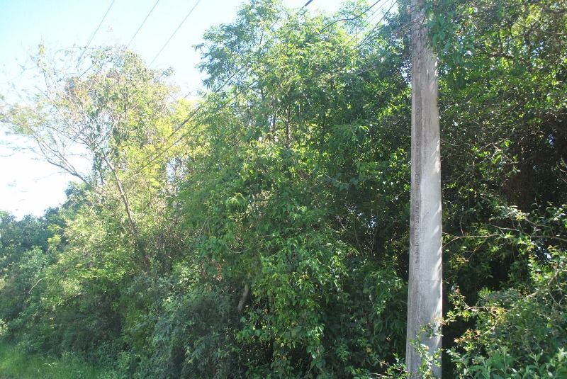 Terreno para Venda - 2611,50m² no bairro Espírito Santo — foto 6