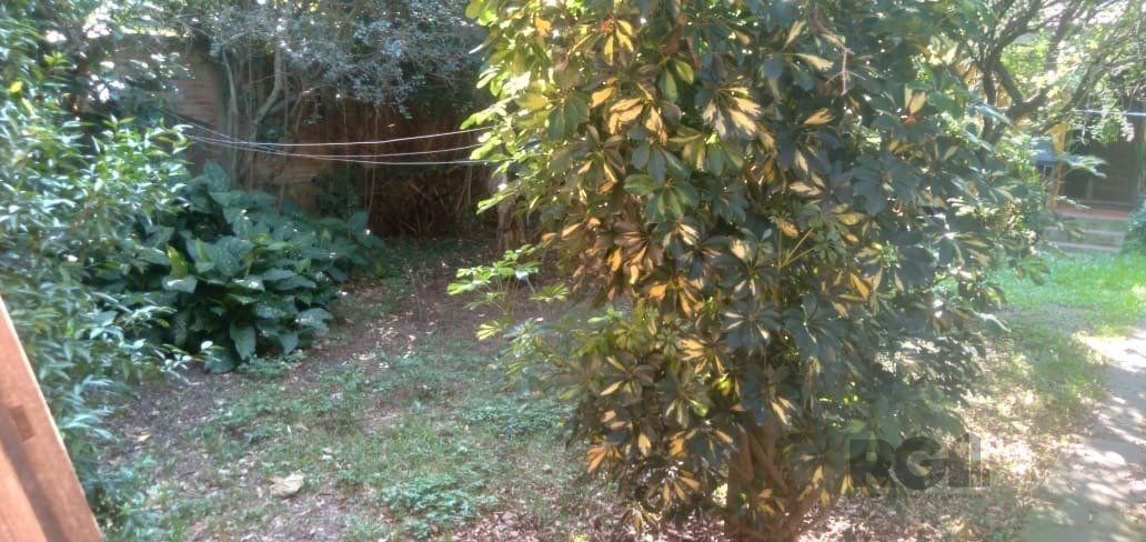 — foto 24