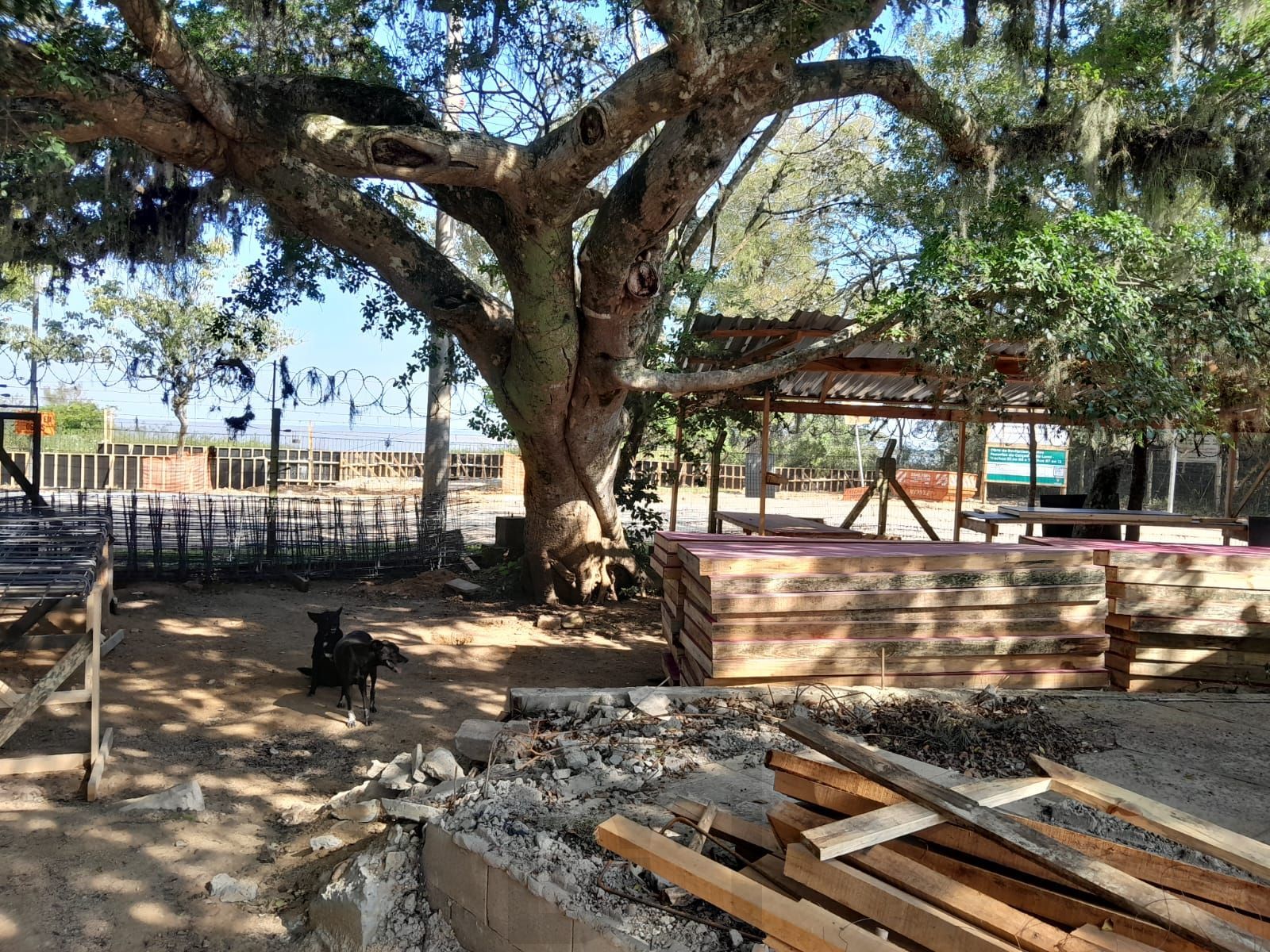 Terreno 23 x 30 - Lami — foto 13