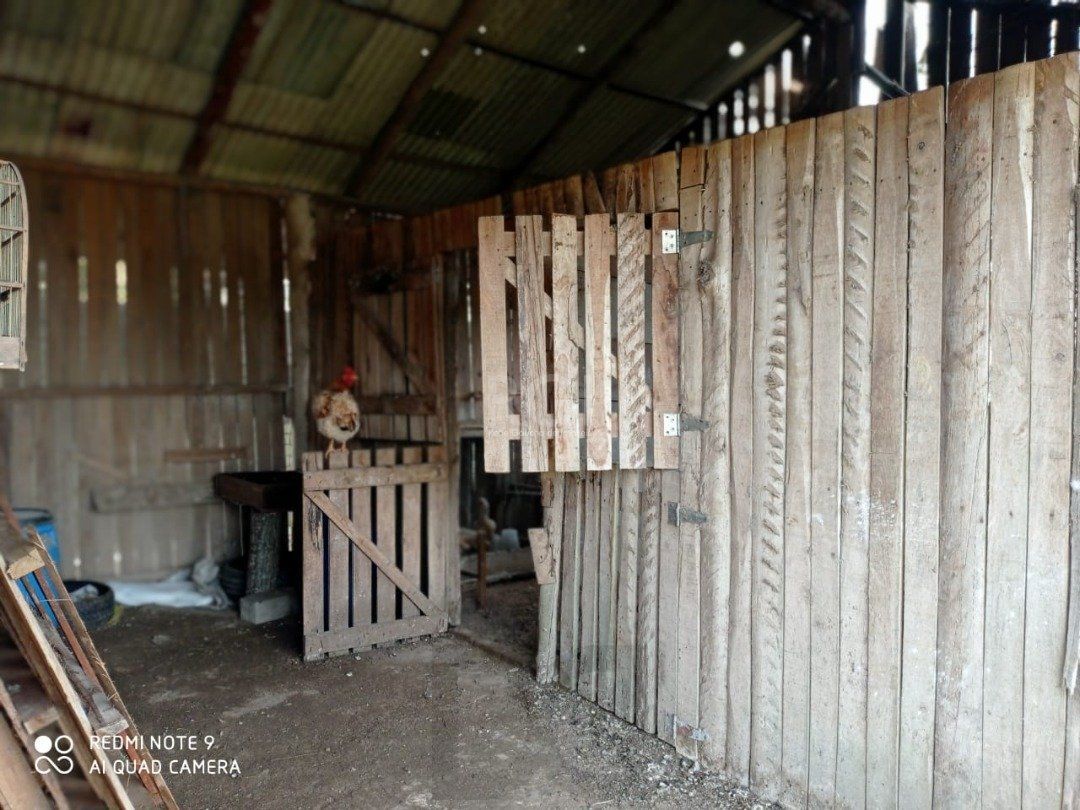 Sítio para Venda - 351.68m², 3 dormitórios, 4 vagas - Lageado — foto 32