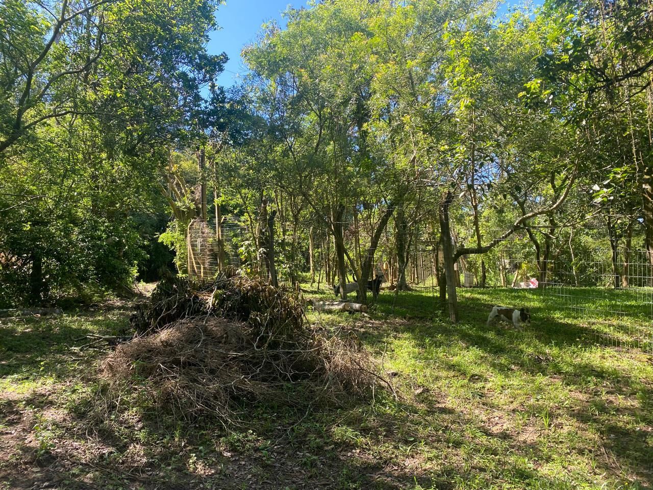 Excelente terreno! — foto 3