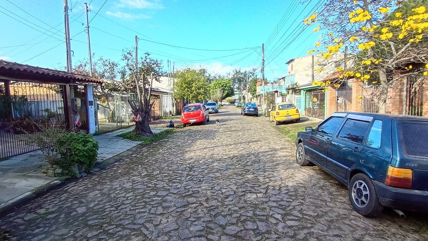 Terreno plano - bairro Hipica — foto 10