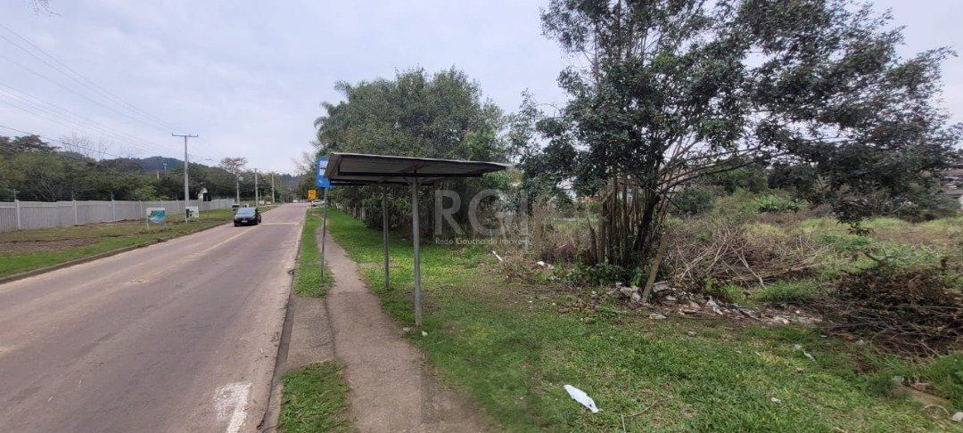 Terreno para Venda - 3.037m² no bairro Campo Novo — foto 9