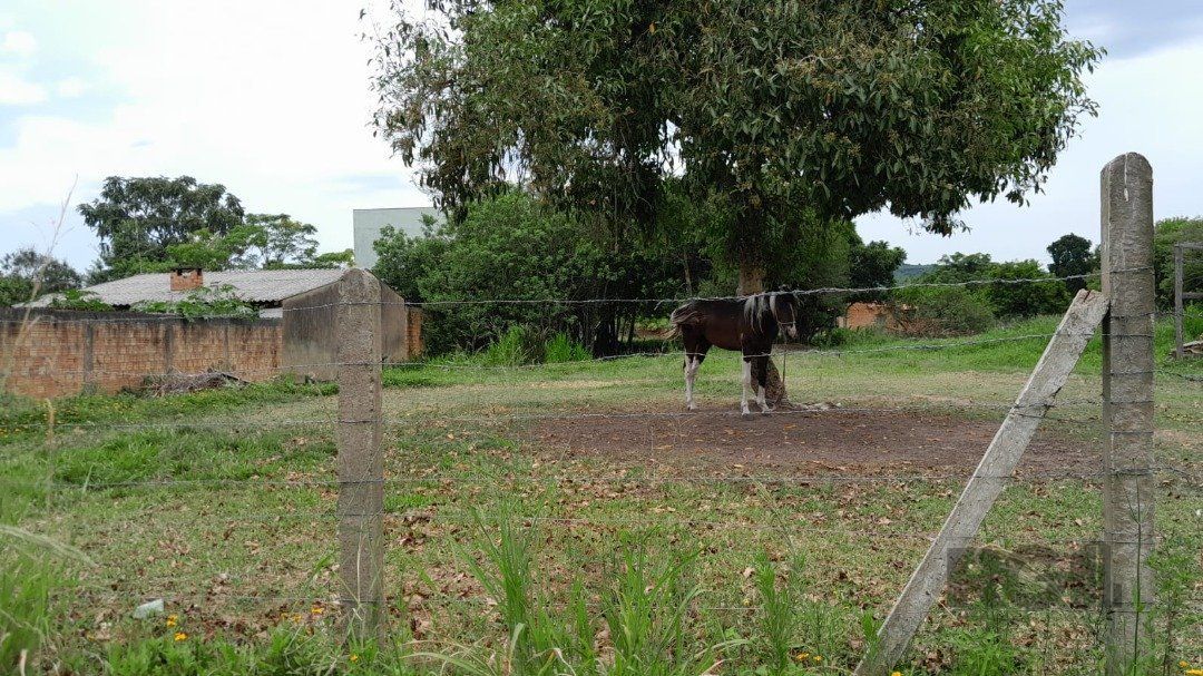 Terreno com 1.000m² , dimensões de 20x50, — foto 1