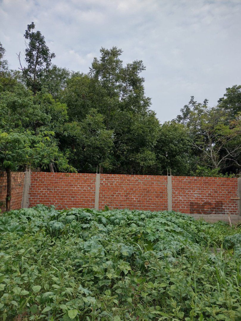 Terreno para Venda - 0m², 0 dormitórios, Vila Nova — foto 14