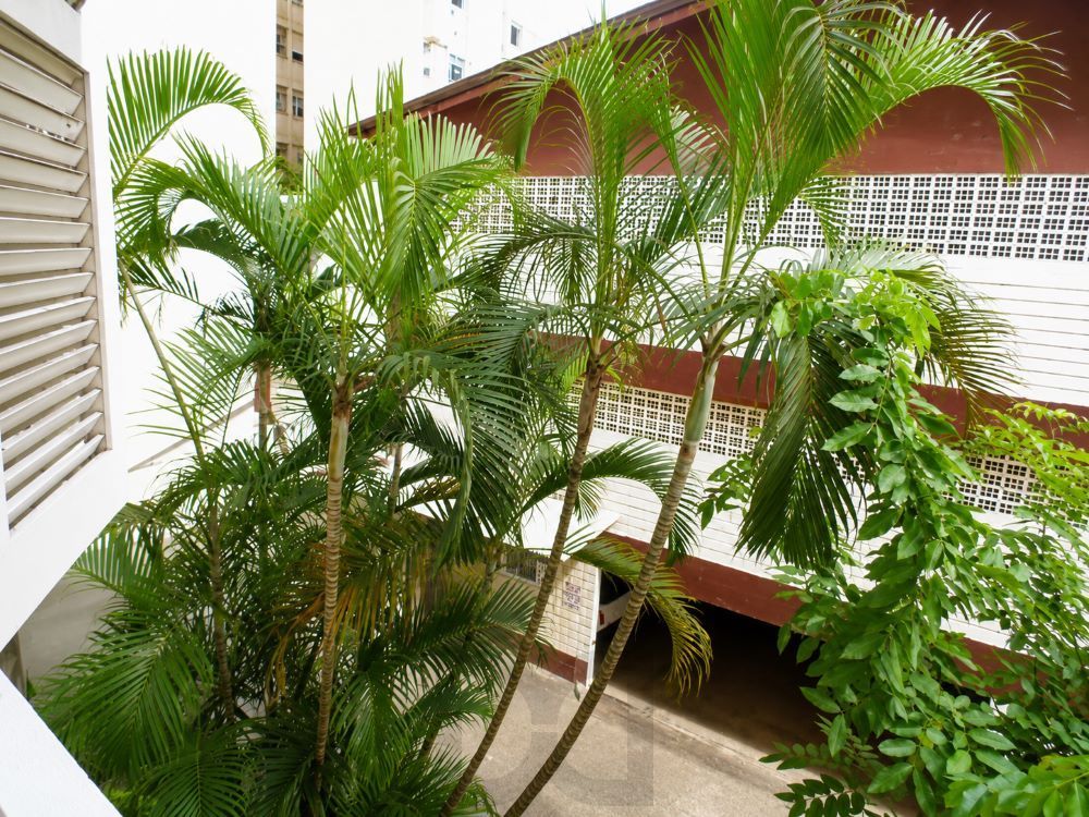 AVALIADO CAIXA POR 370MIL BAIXOU PARA 310MIL APARTAMENTO 2 DORMITORIOS NA JOÃO PESSOA — foto 31