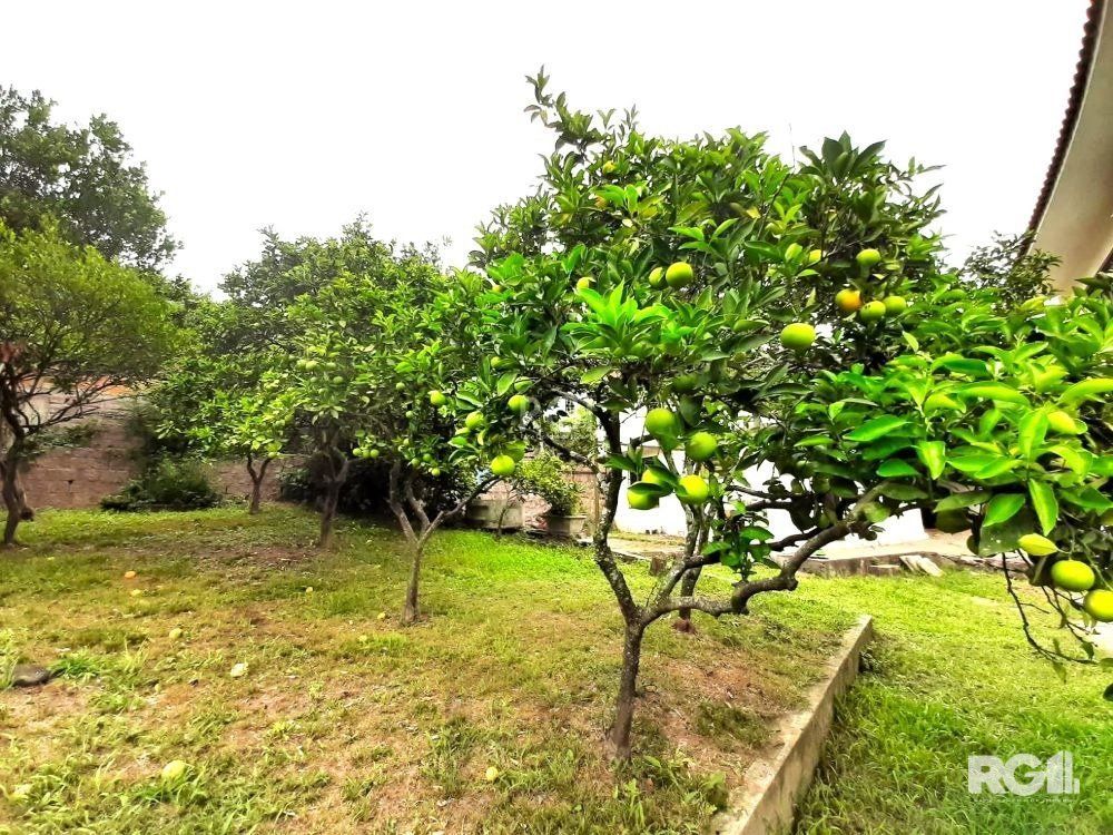 Casa com 351,60m2 de área construída em propriedade de 743m2 no Bairro Jardim Carvalho. — foto 33