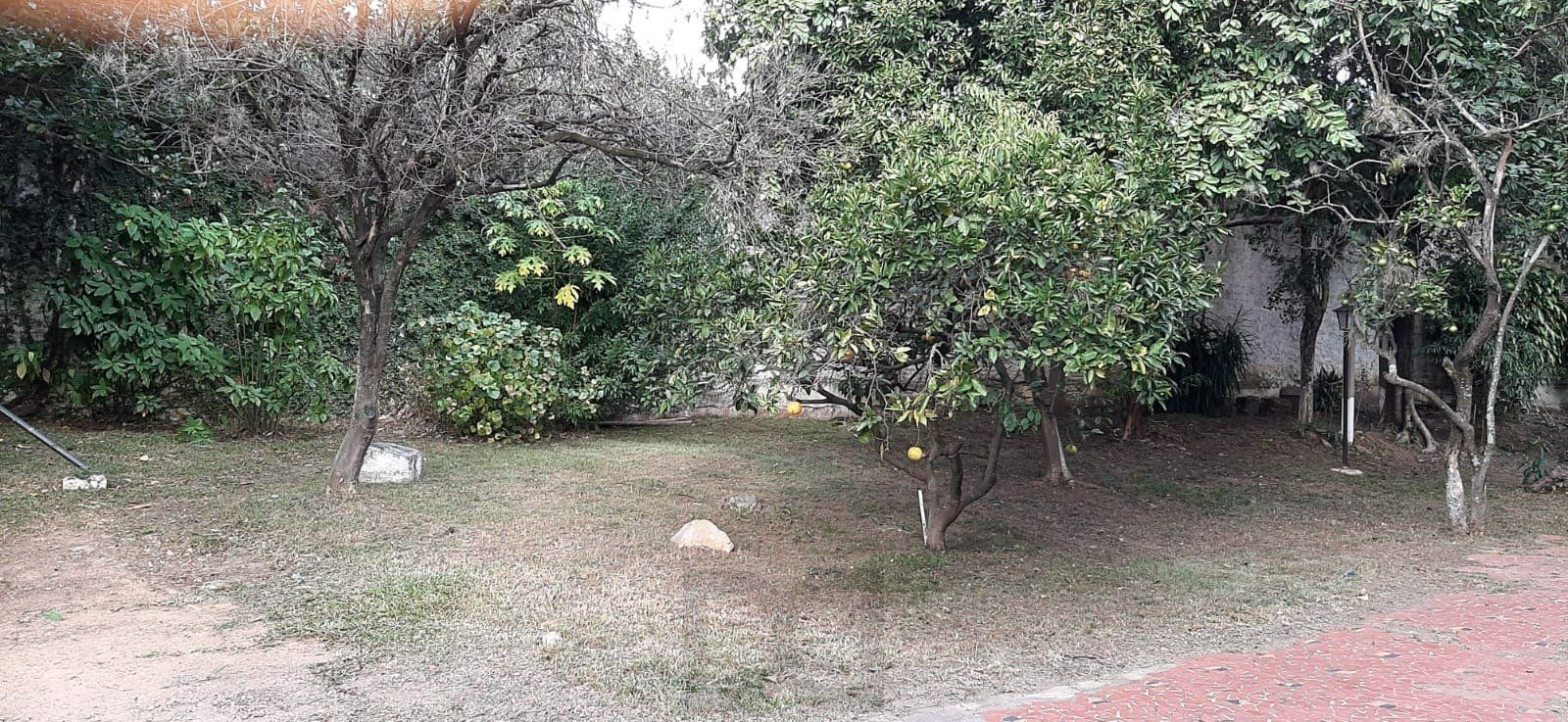 CASA EM 2 TERRENOS NO BAIRRO MEDIANEIRA — foto 2