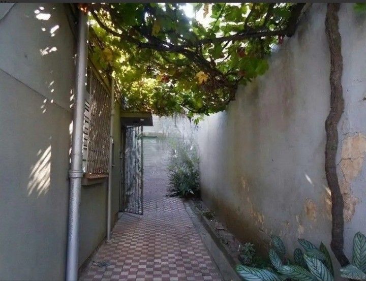  — foto 2