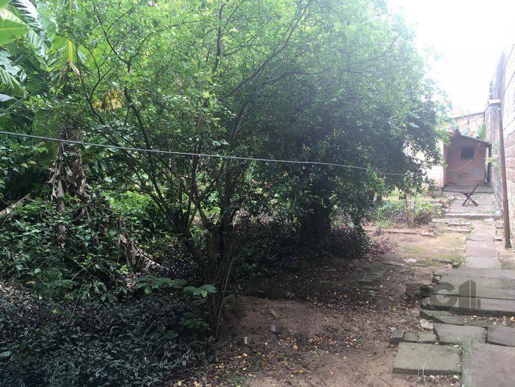 Terreno para Venda - 879.31m², 0 dormitórios, Santa Tereza — foto 5