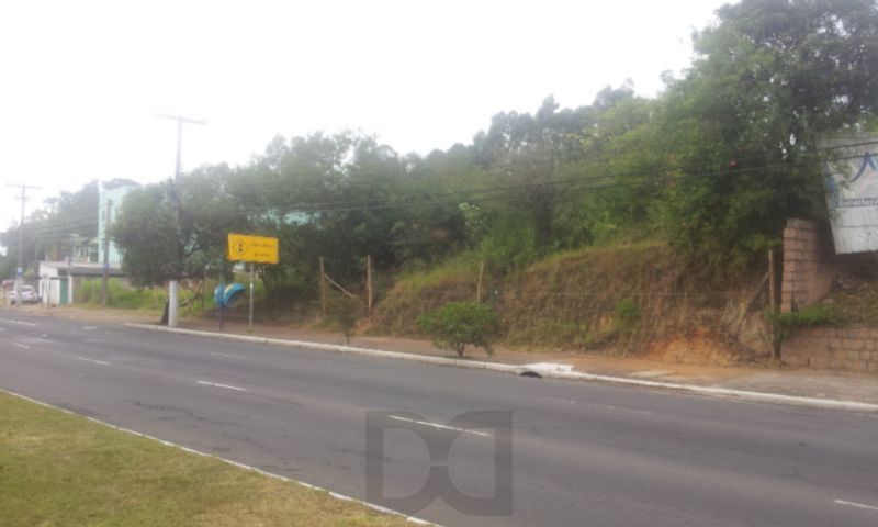 Terreno para Venda - 3822m², 0 dormitórios, Agronomia — foto 4