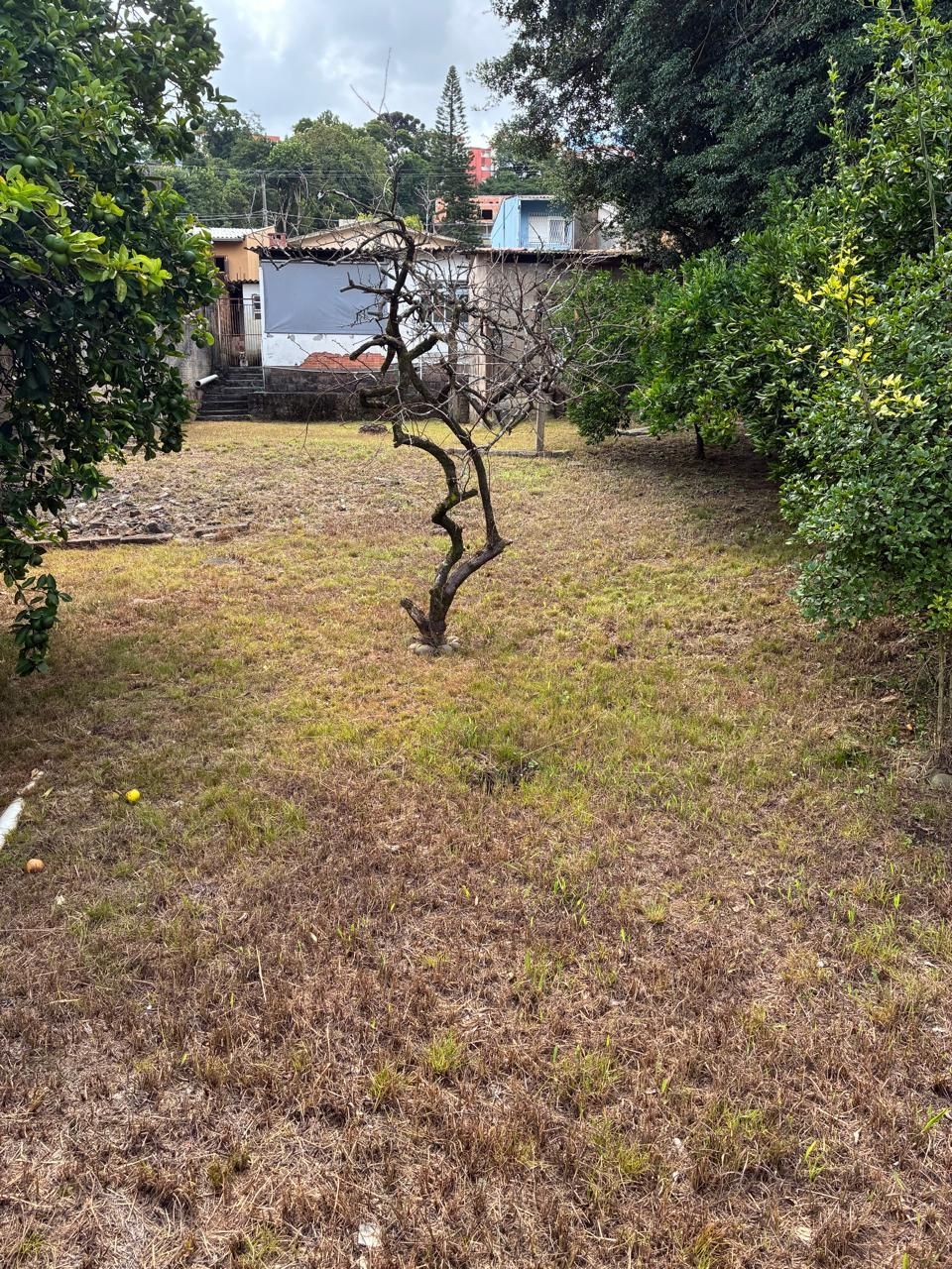 — foto 26