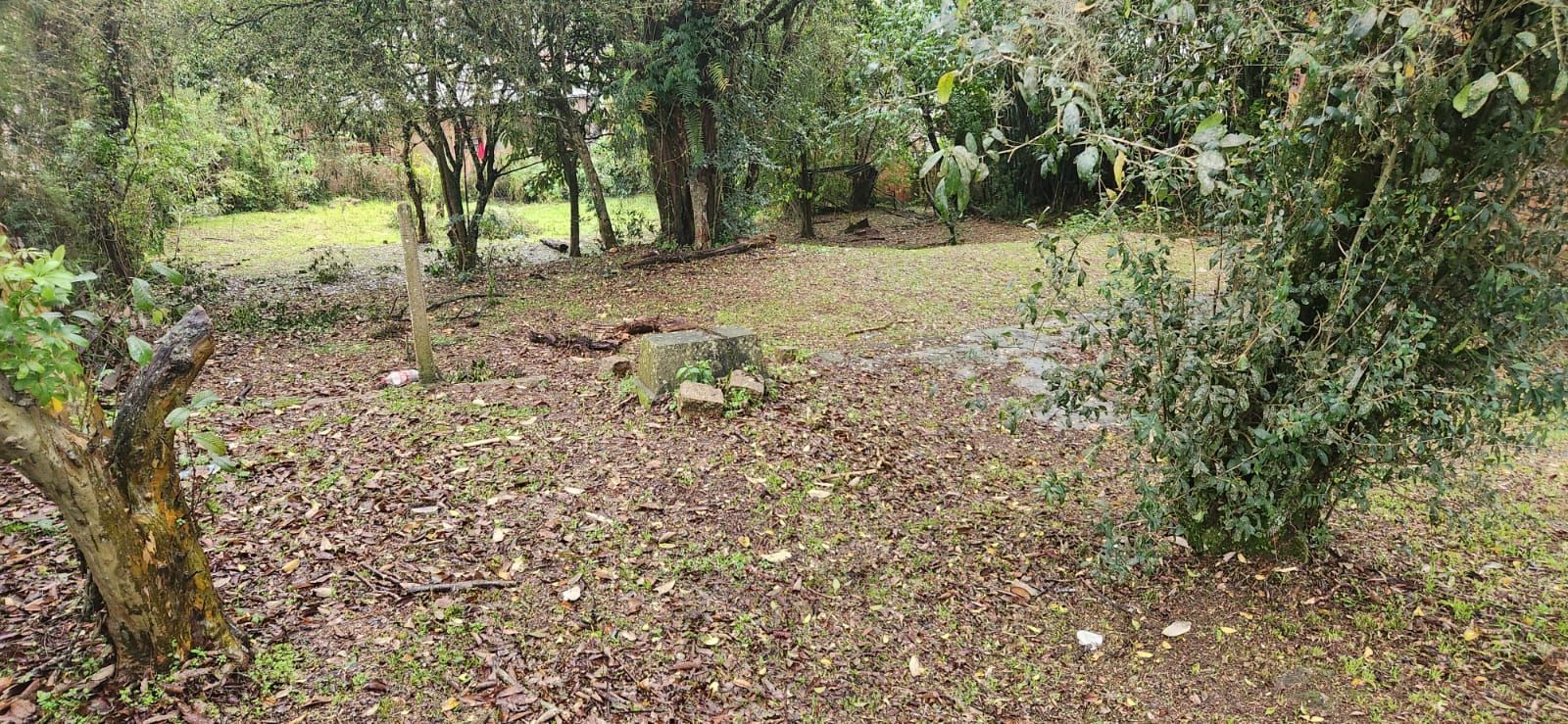 TERRENO ESQUINA PARADA 16 LOMBA DO PINHEIRO — foto 10