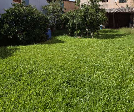 TERRENO PLANO PRÓXIMO IGREJA SÃO JORGE — foto 6
