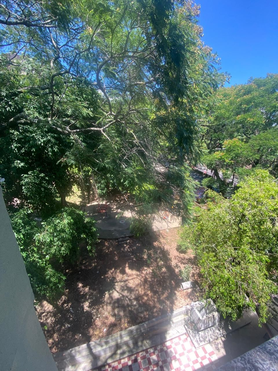 Vista