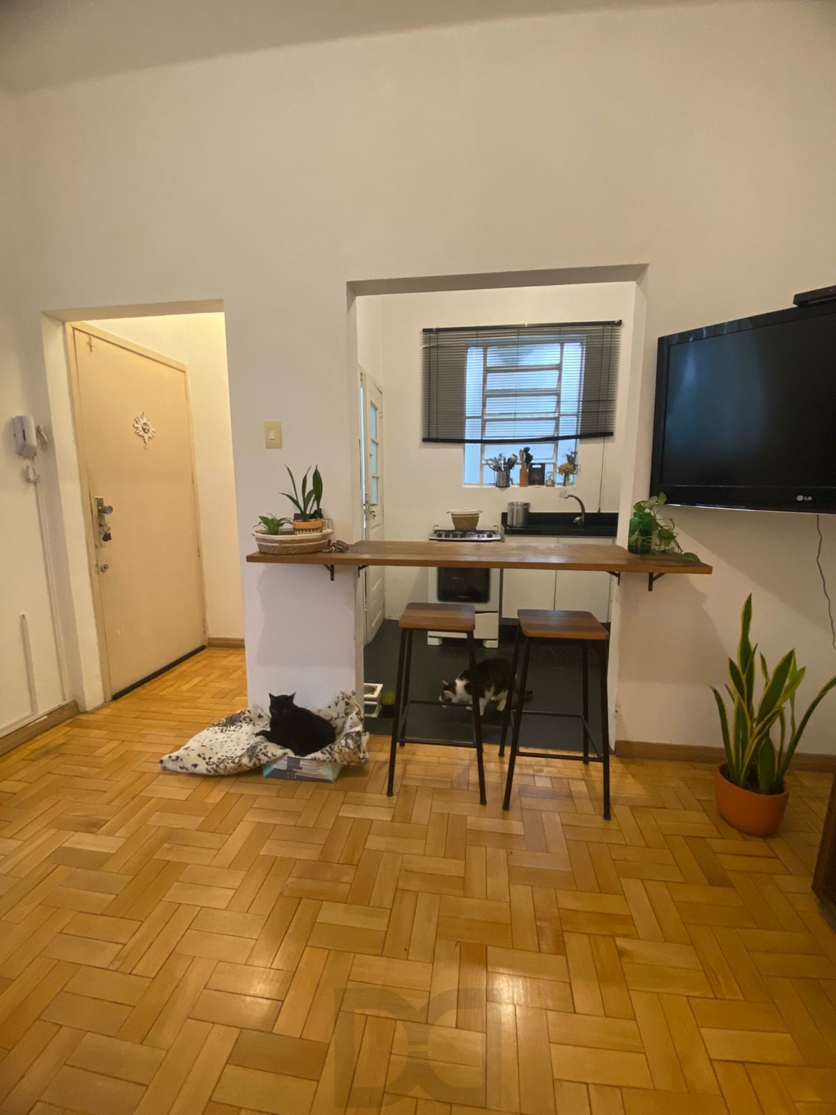 Apartamento 2 dormitórios, garden/térreo no Bom Fim — foto 2