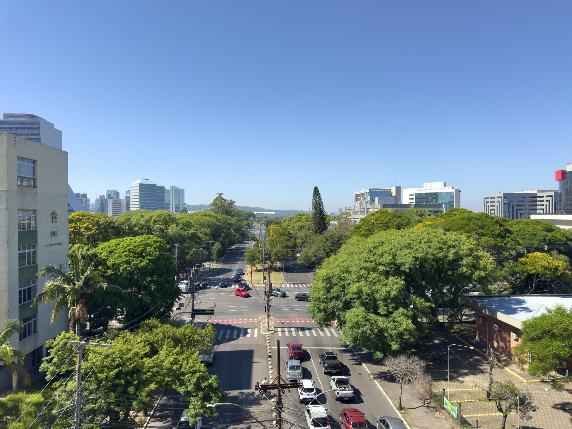 Vista