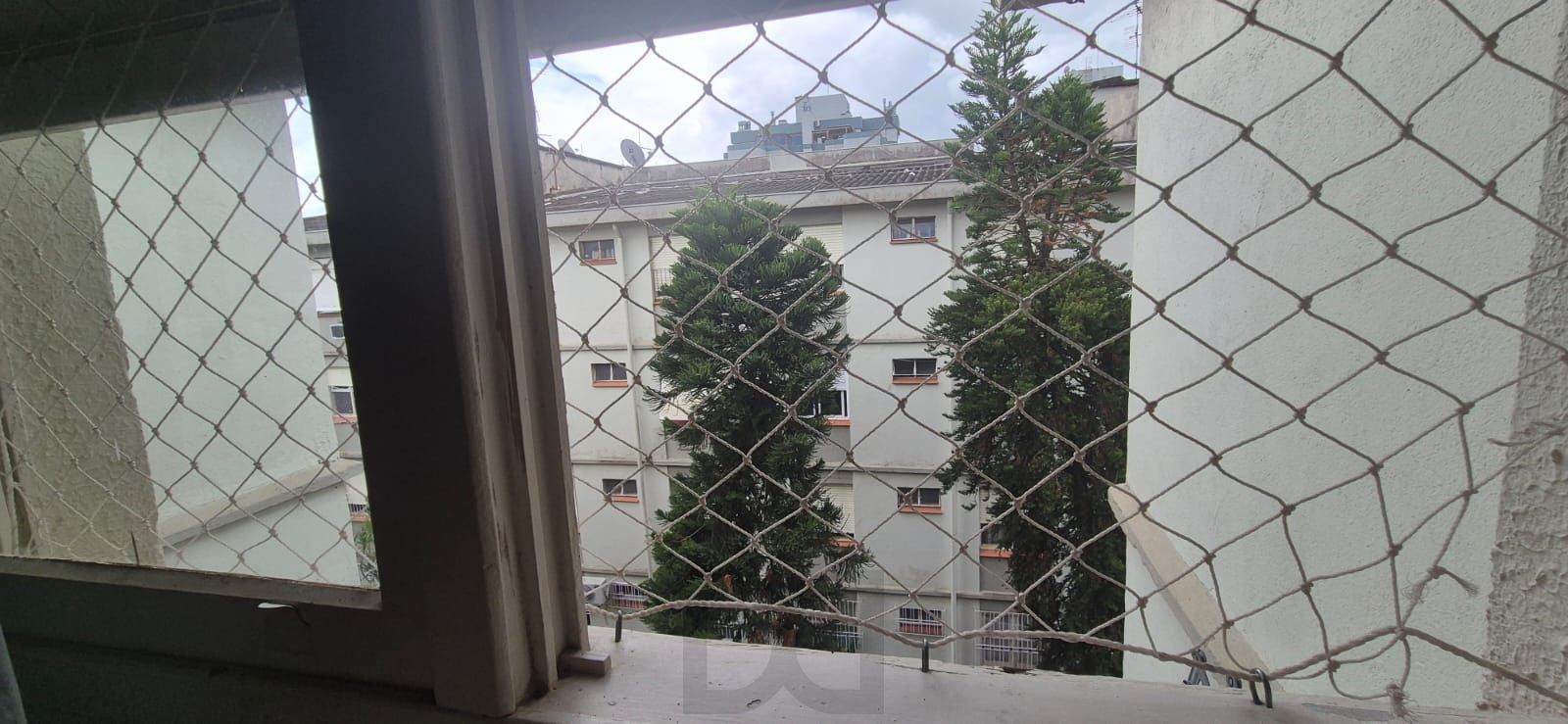 — foto 14