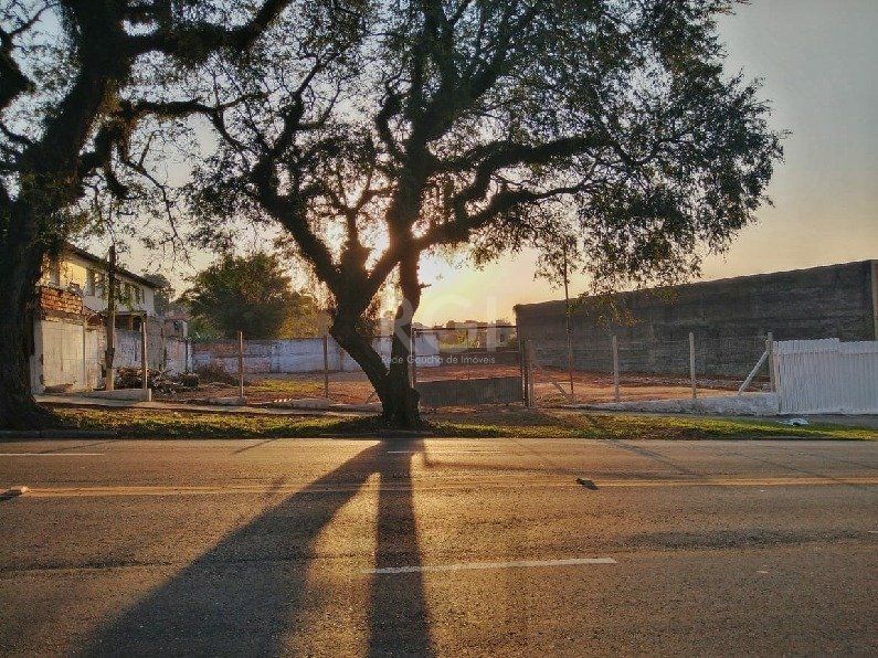 — foto 2