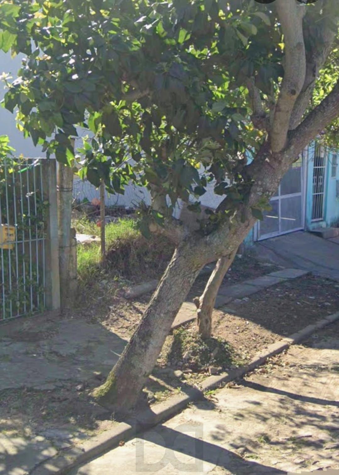 — foto 2