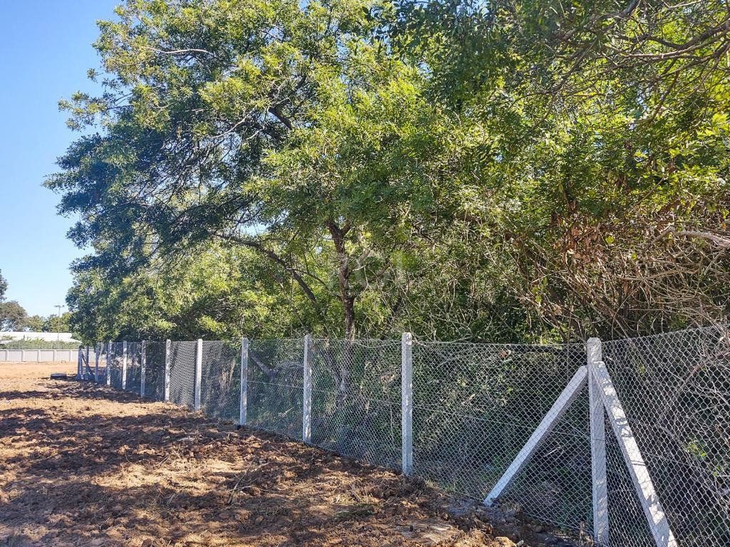 Terreno para Venda - 0m², 0 dormitórios, Vila Nova — foto 6