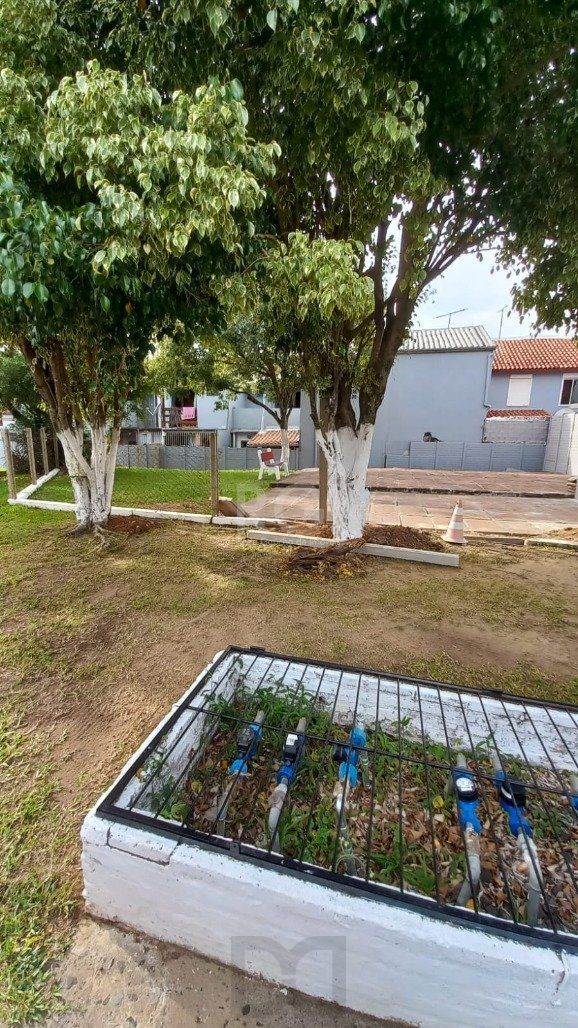 — foto 3