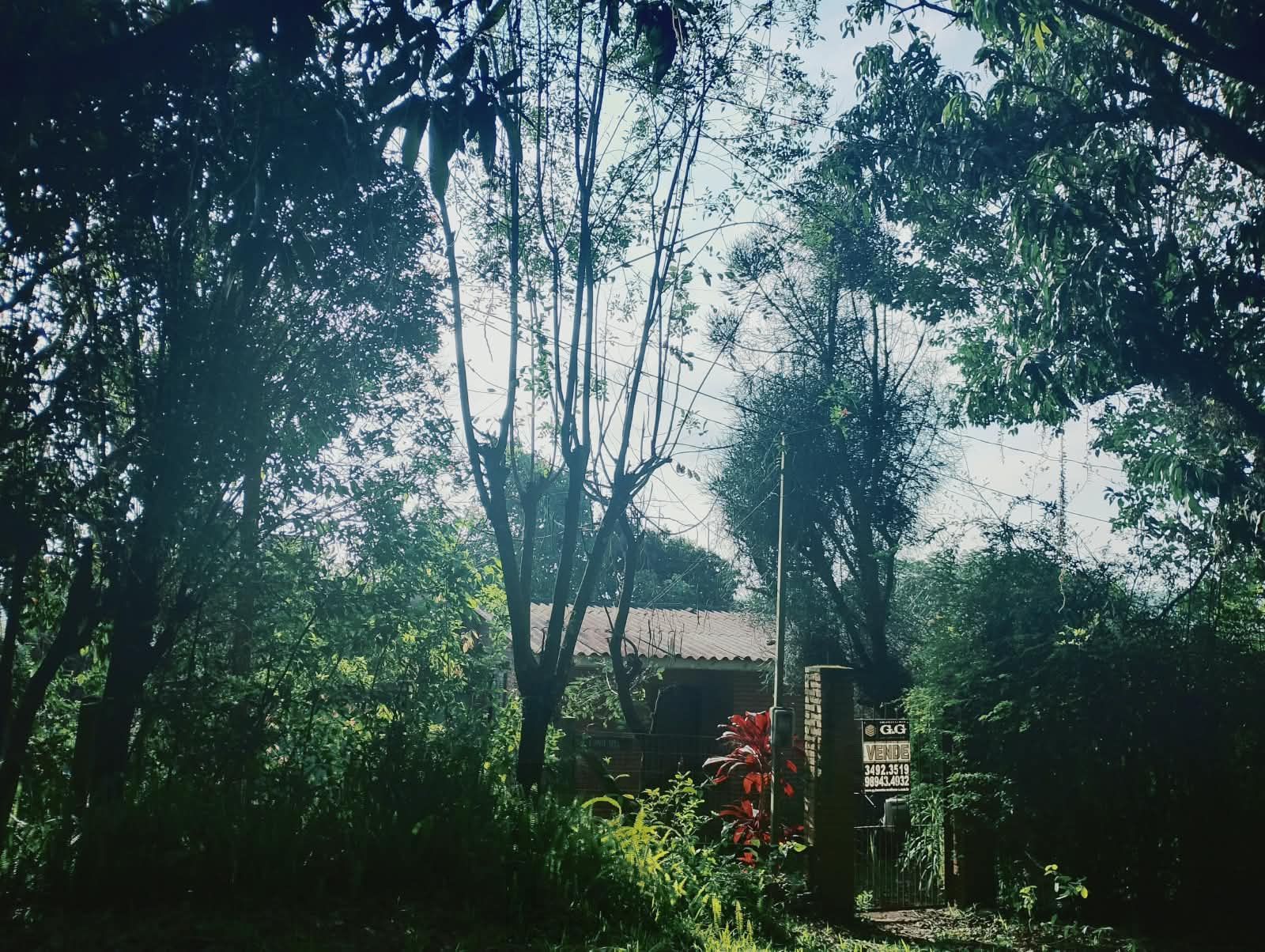  — foto 6
