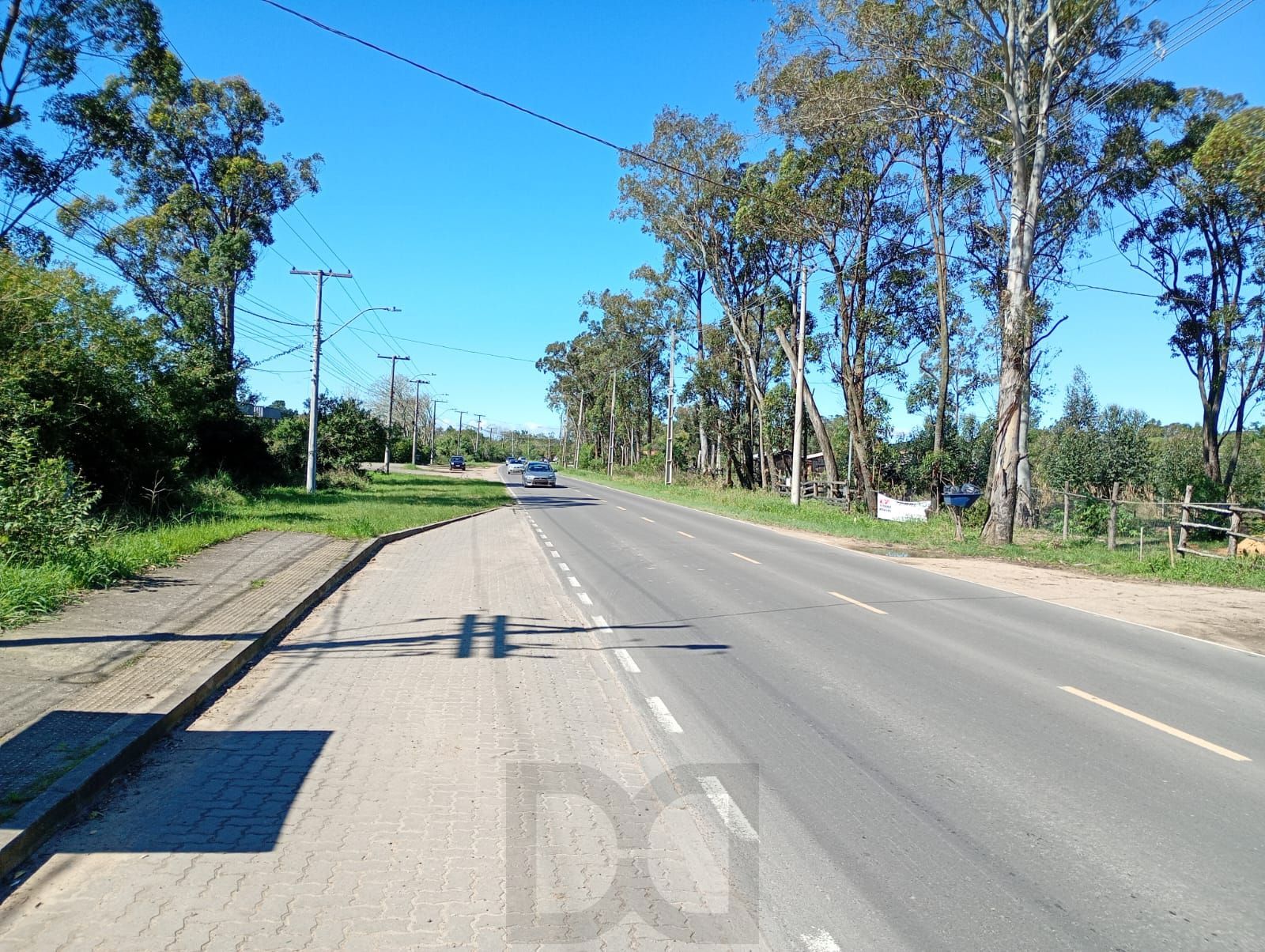 Terreno da Edgar Pires de Castro — foto 6