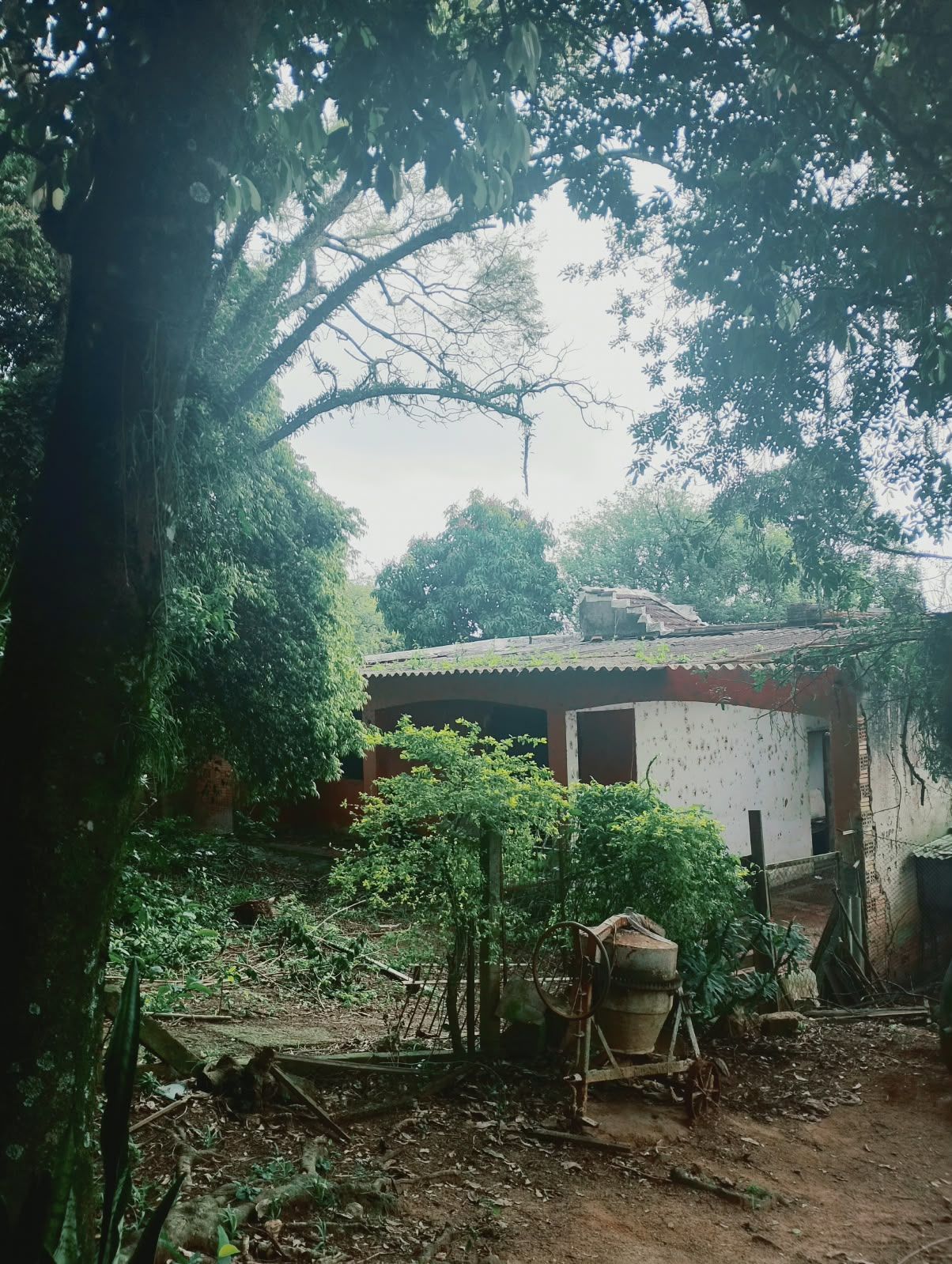  — foto 1