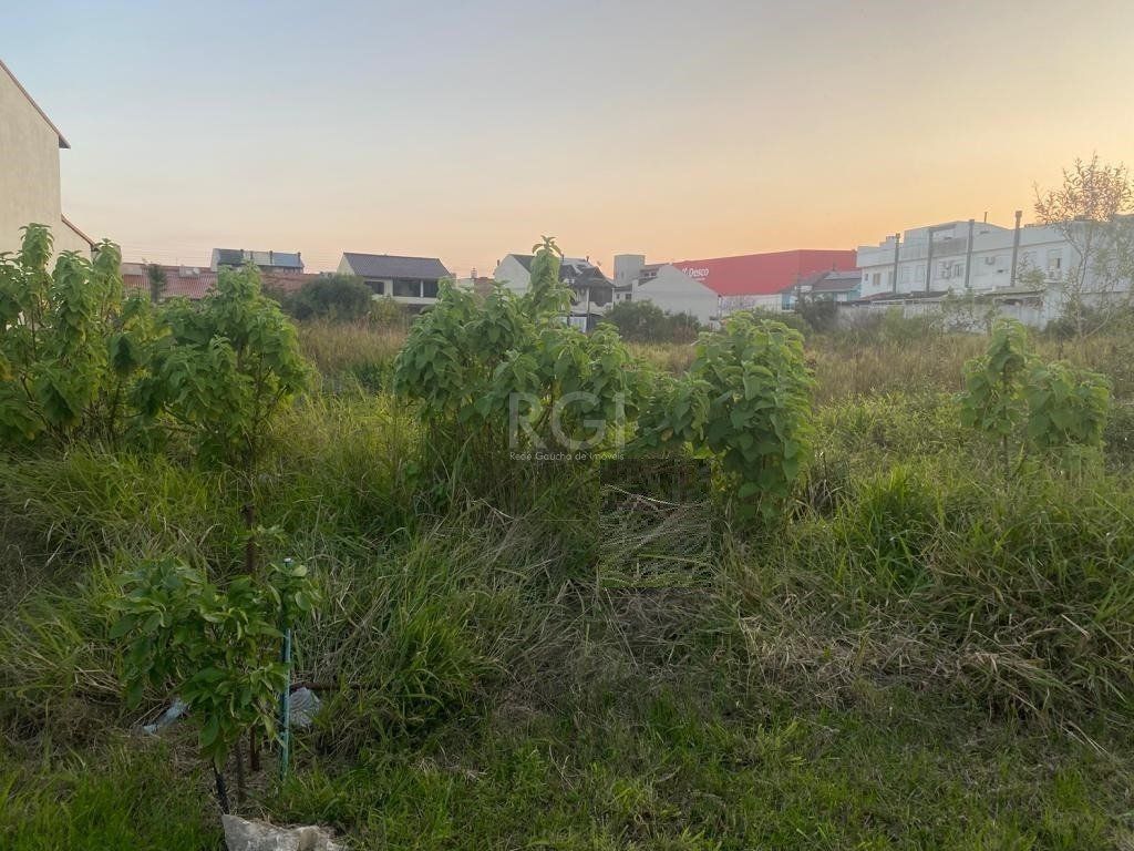 Terreno para Venda - 329.43m², 0 dormitórios, Hípica — foto 5
