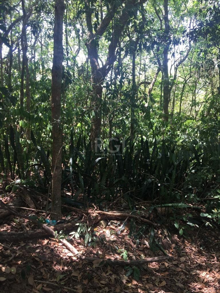 — foto 2