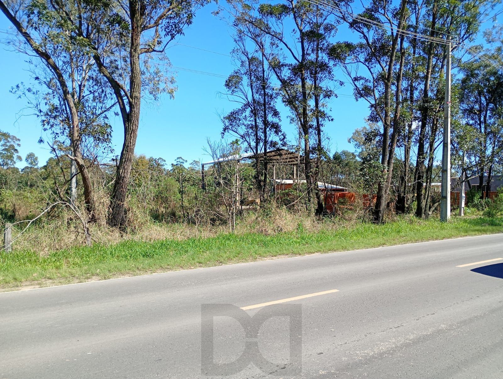 Terreno da Edgar Pires de Castro — foto 9
