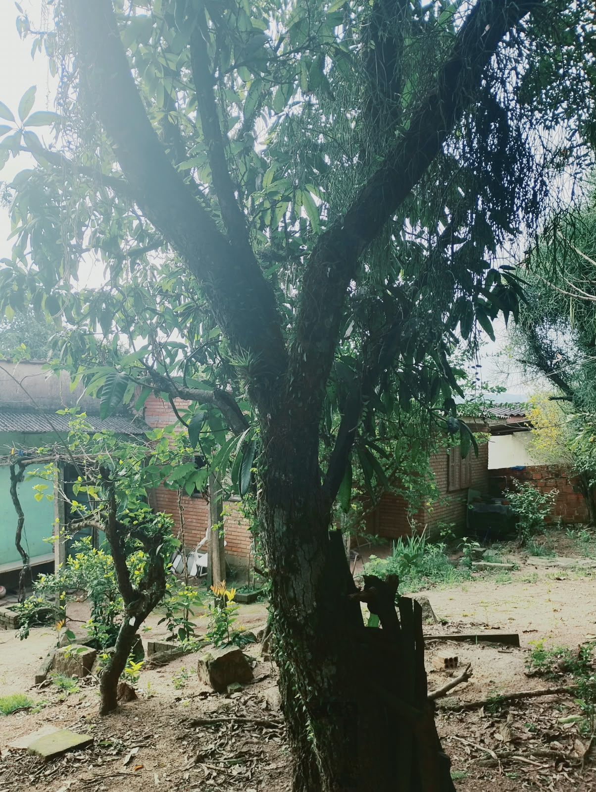  — foto 8