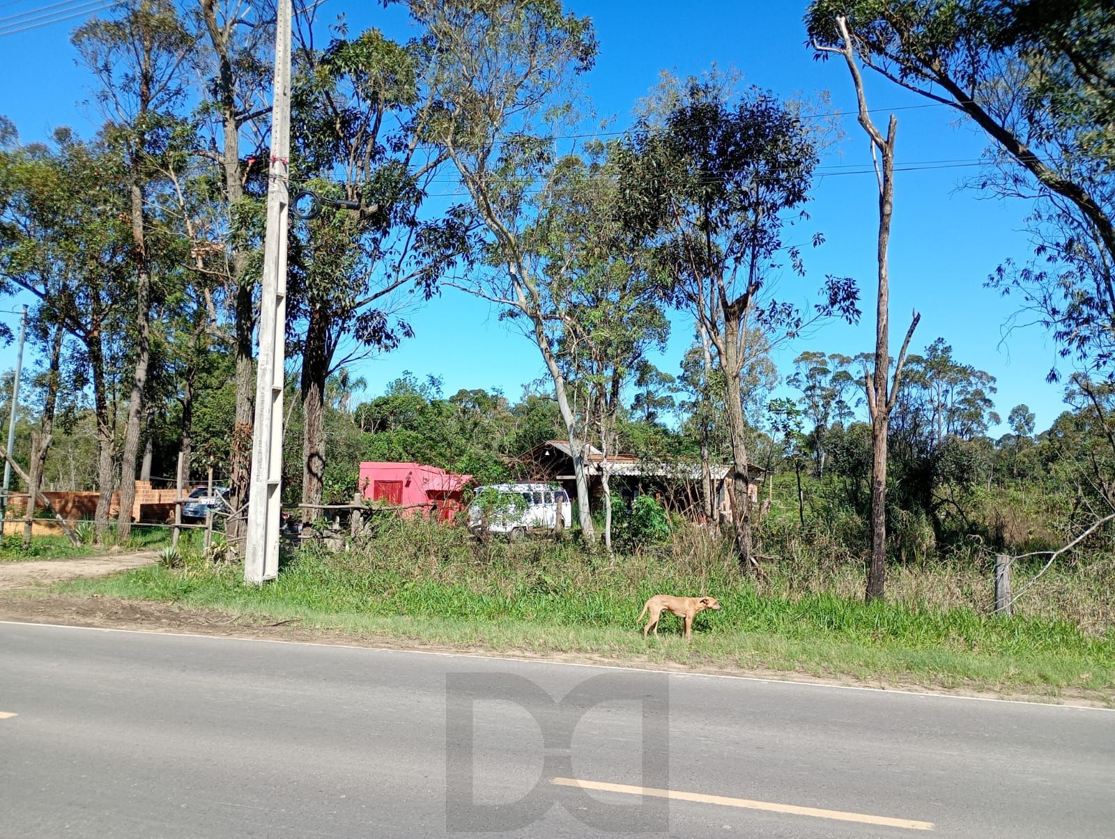 Terreno da Edgar Pires de Castro — foto 4