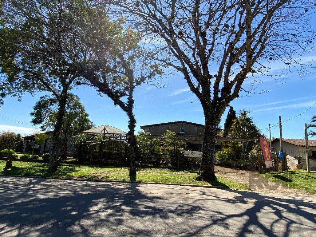  — foto 6